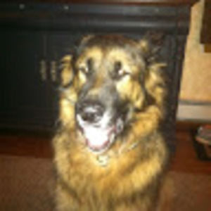 Meet your Posher, Denise